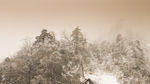 西岭雪山
