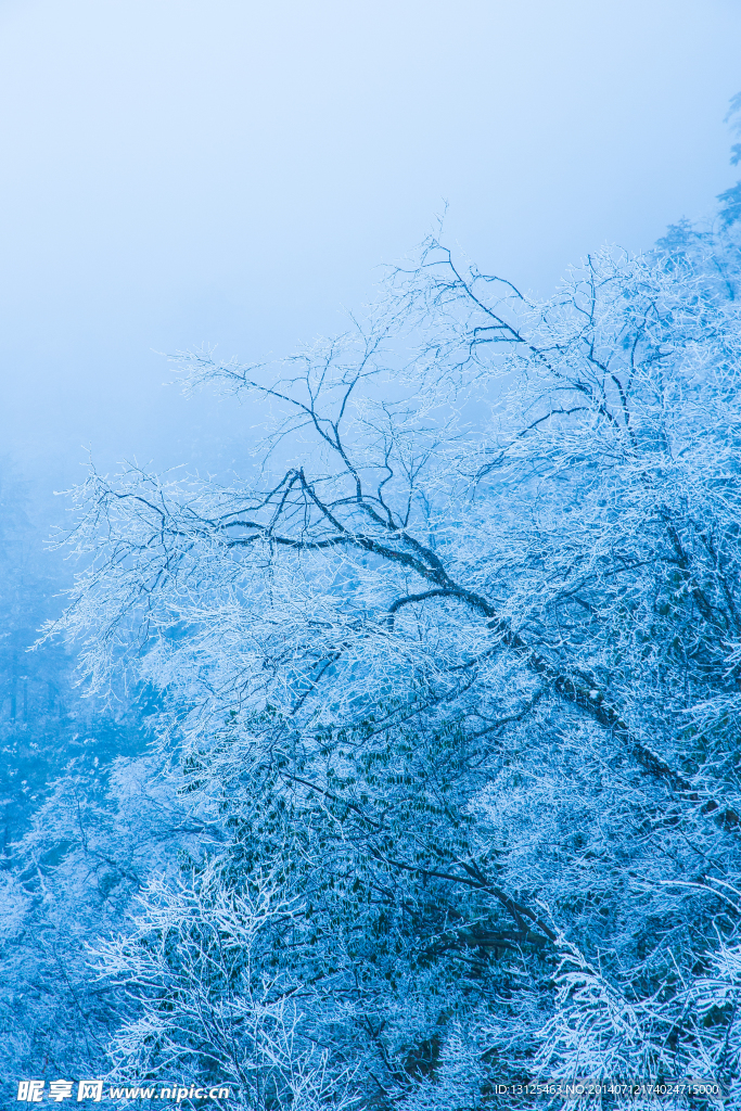 西岭雪山