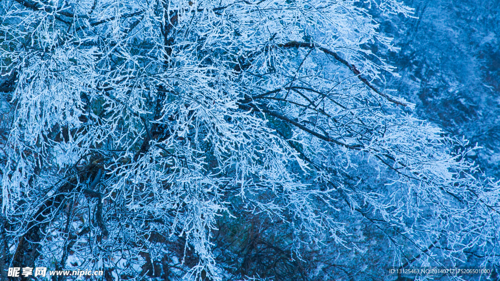 西岭雪山