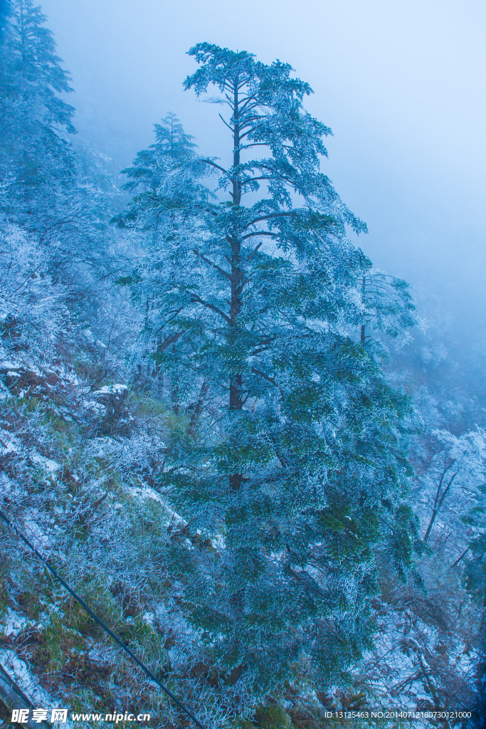 西岭雪山