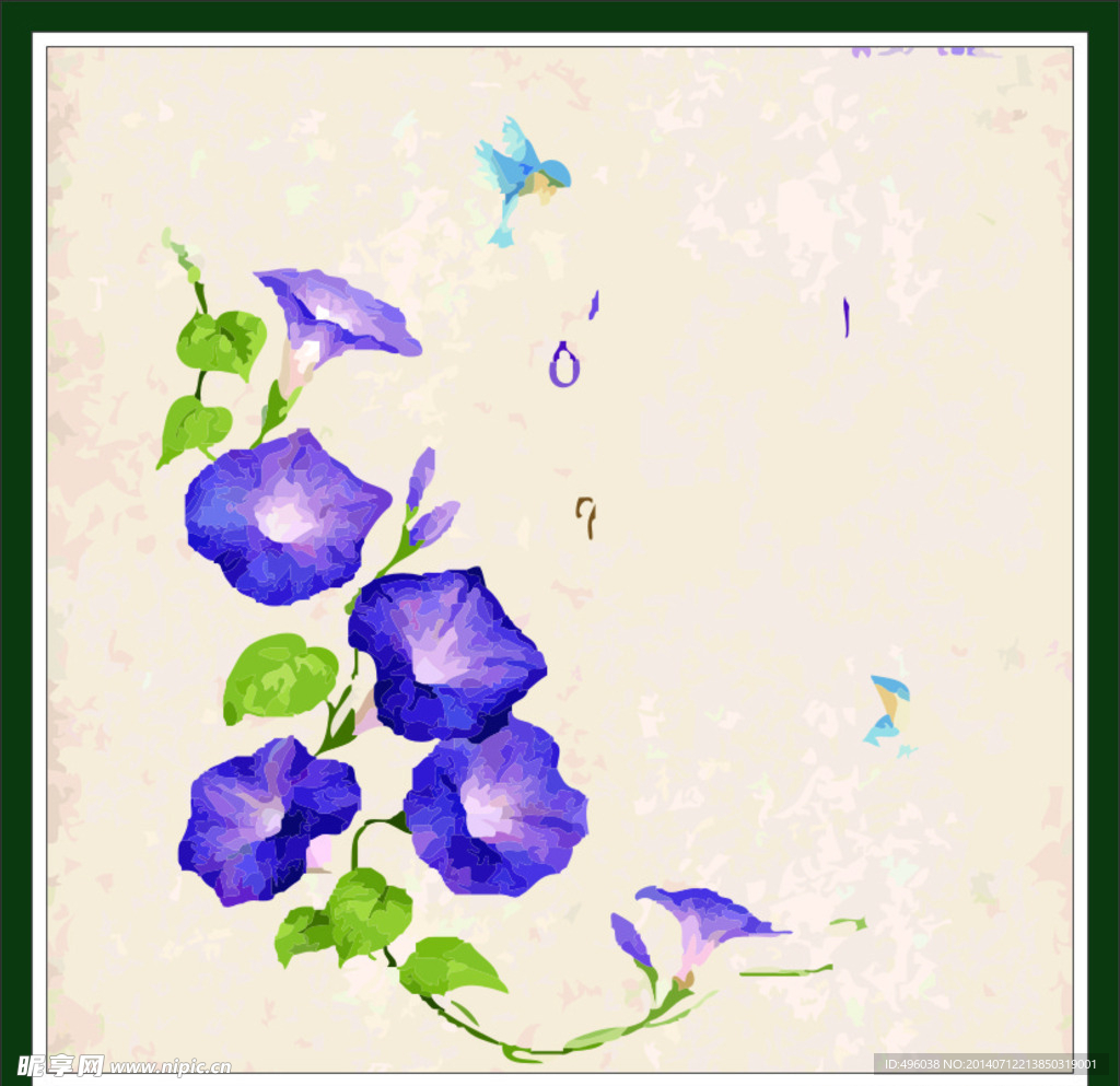 牵牛花