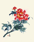 春花