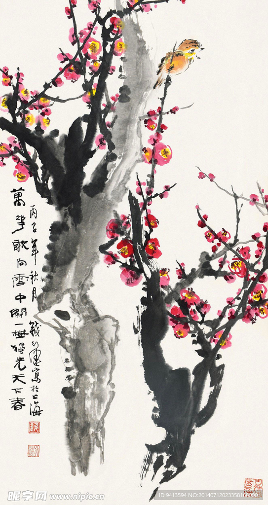 红梅小鸟