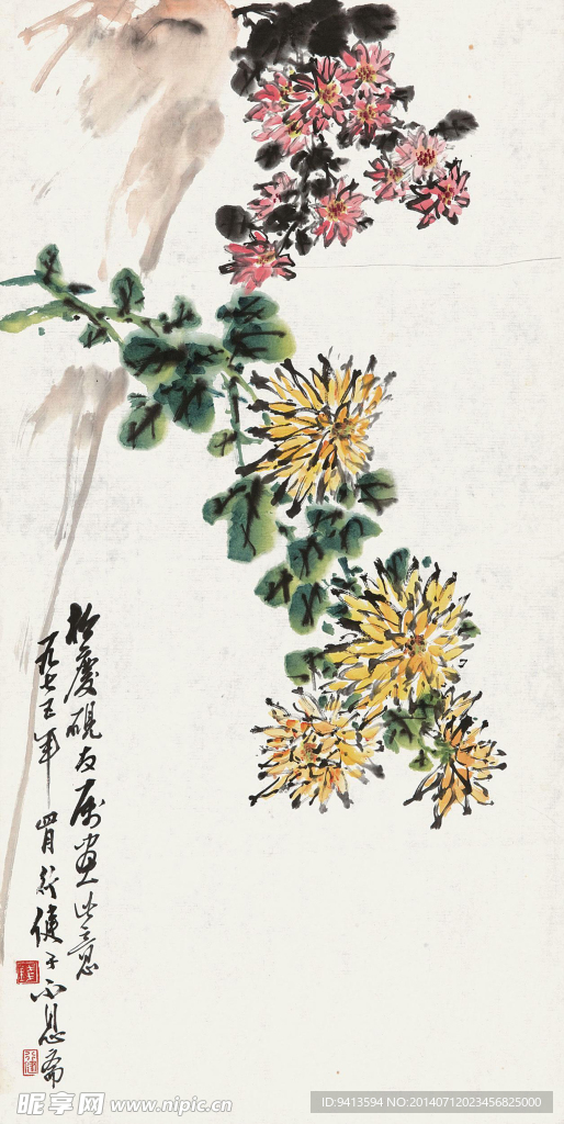 菊花