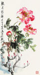 牡丹