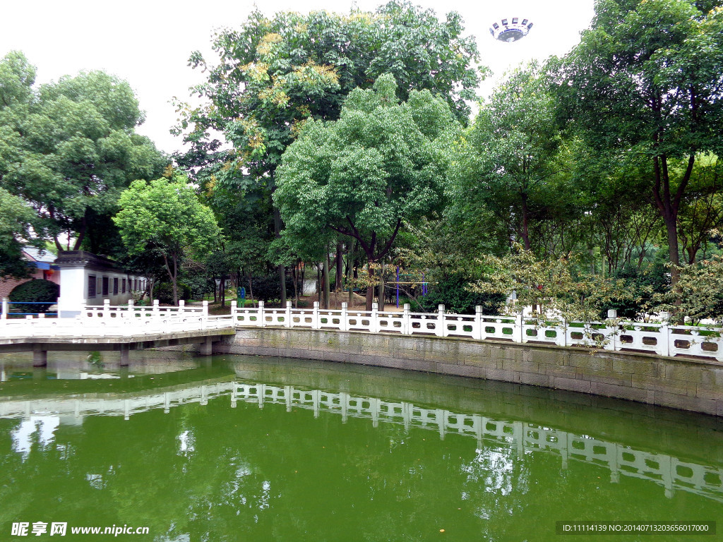 水乡风景