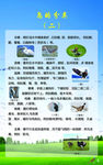 爱鸟宣传