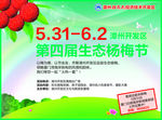 2014杨梅节