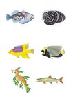海洋生物