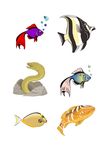 海洋生物