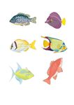 海洋生物