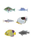 海洋生物