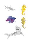 海洋生物
