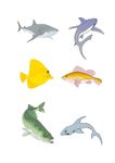 海洋生物