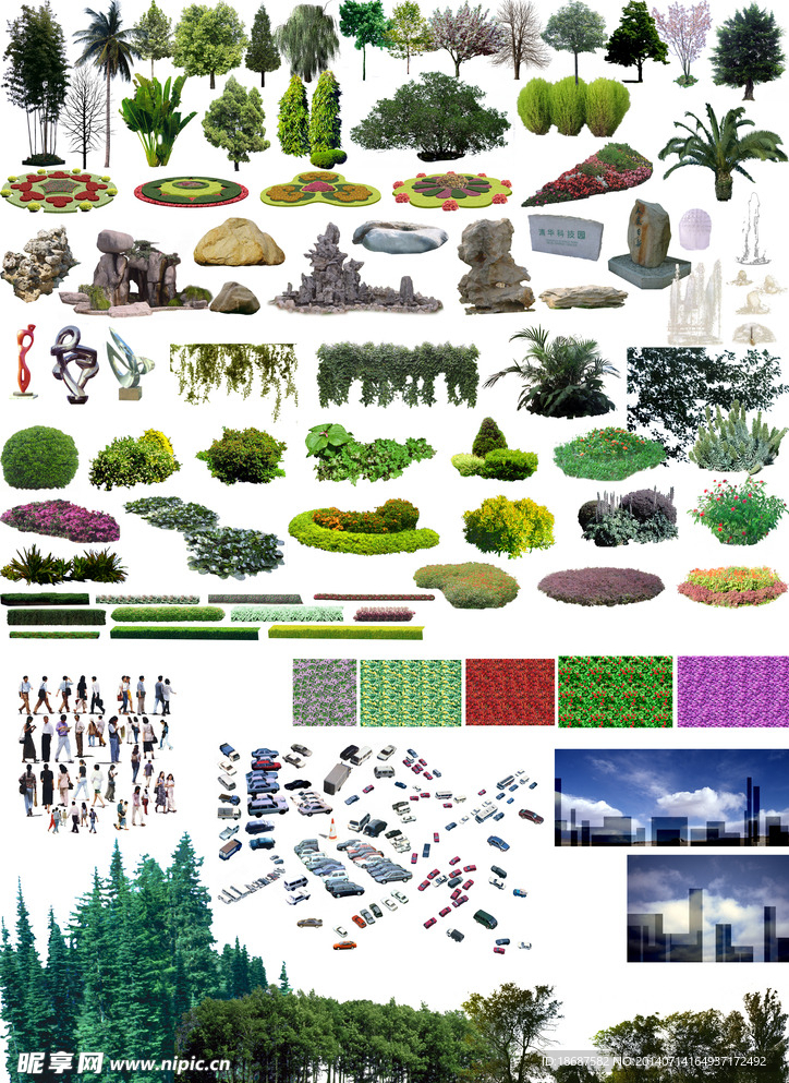 公园绿地街边大型植被