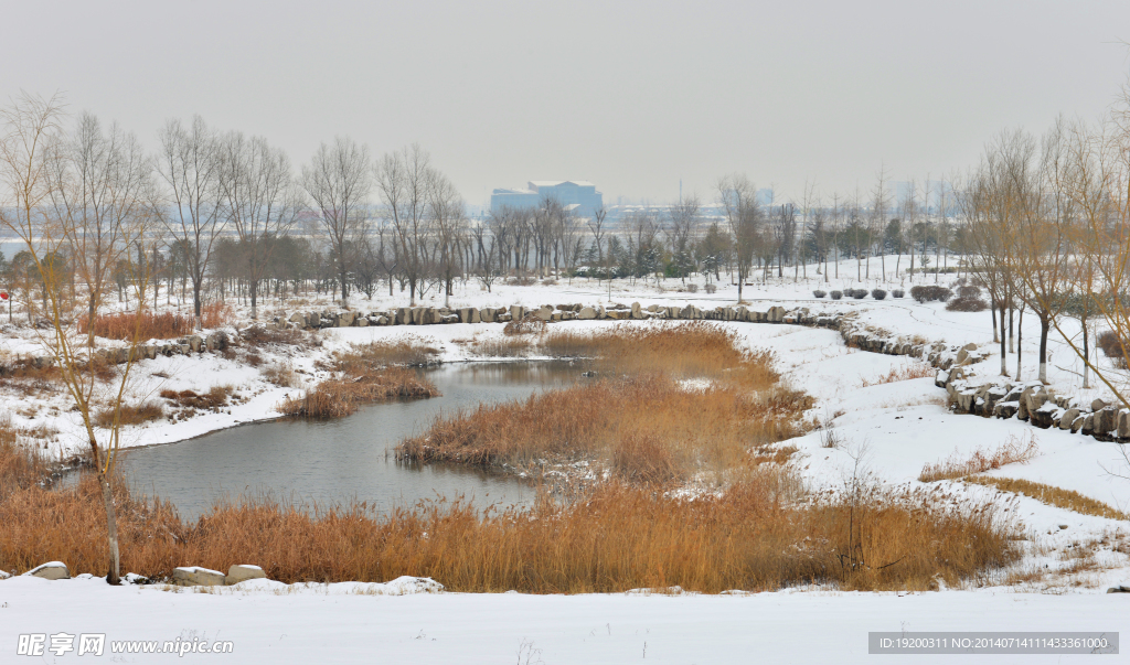 沂河冬雪