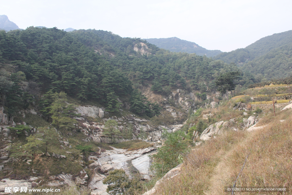 沂蒙风景 蒙山 蒙山李