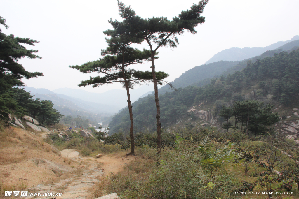 沂蒙风景 蒙山 蒙山李