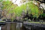 宁大风景