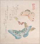 浮世绘