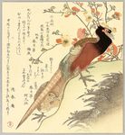 日本浮世绘