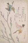 日本 文化 浮世绘