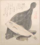 日本 文化 浮世绘