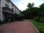 自然景观 房子