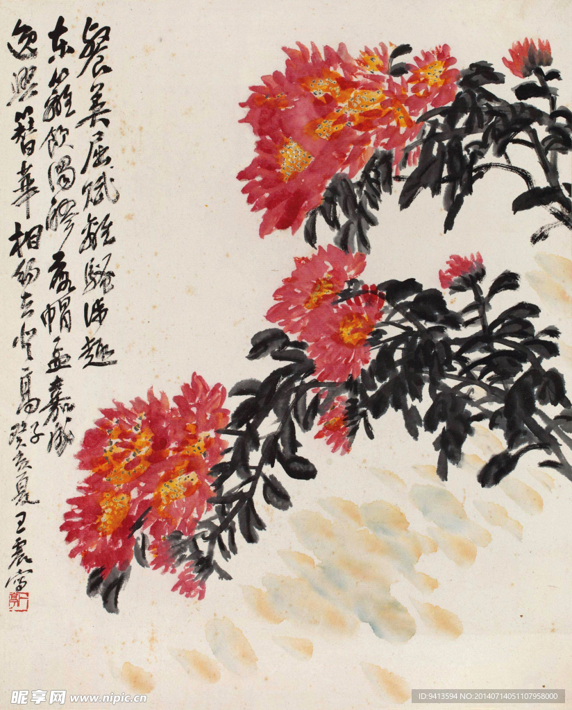 菊花