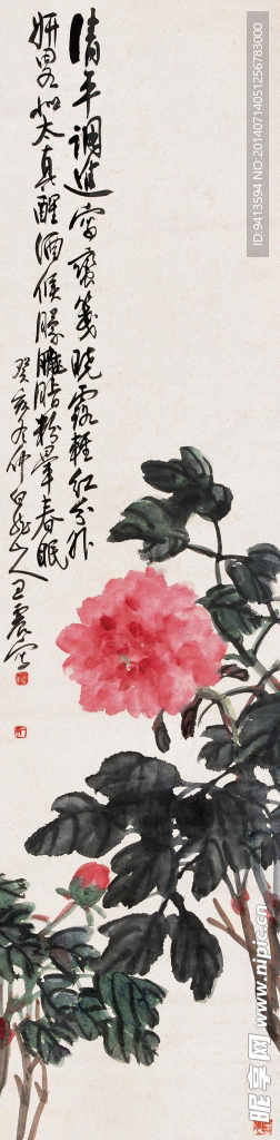 牡丹