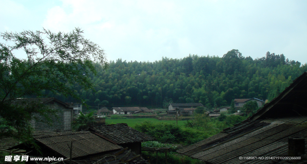 历史名村 翠竹洋