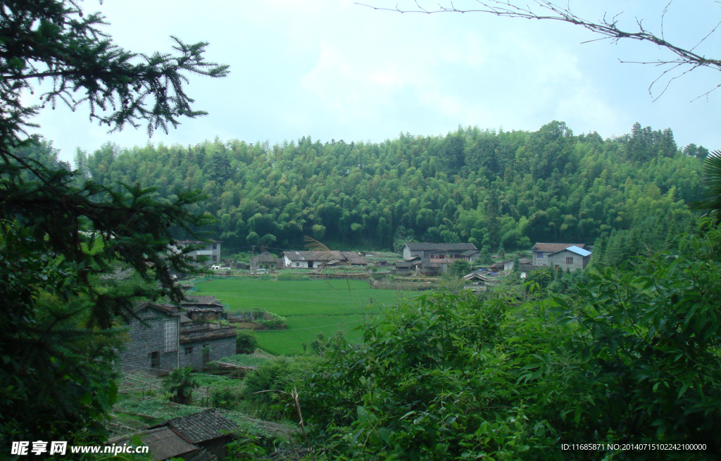 历史名村 翠竹洋