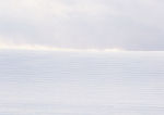 雪景