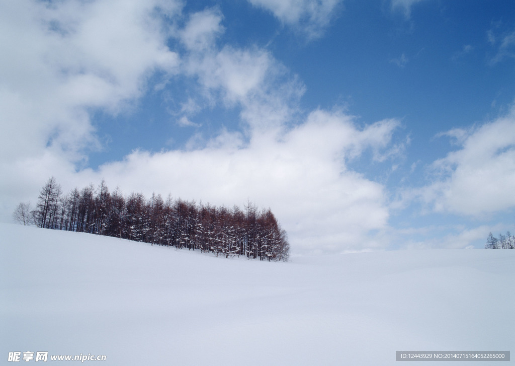 雪景
