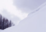 雪景