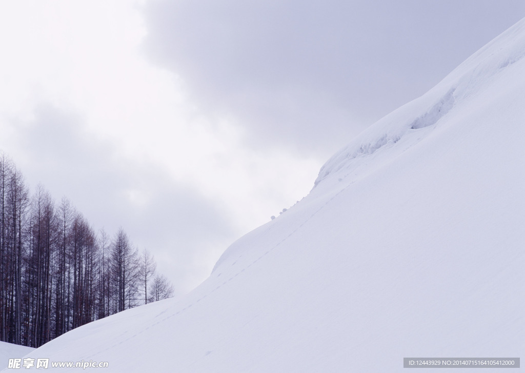雪景