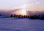 雪景
