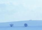 雪景