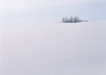 雪景