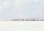 雪景