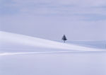 雪景