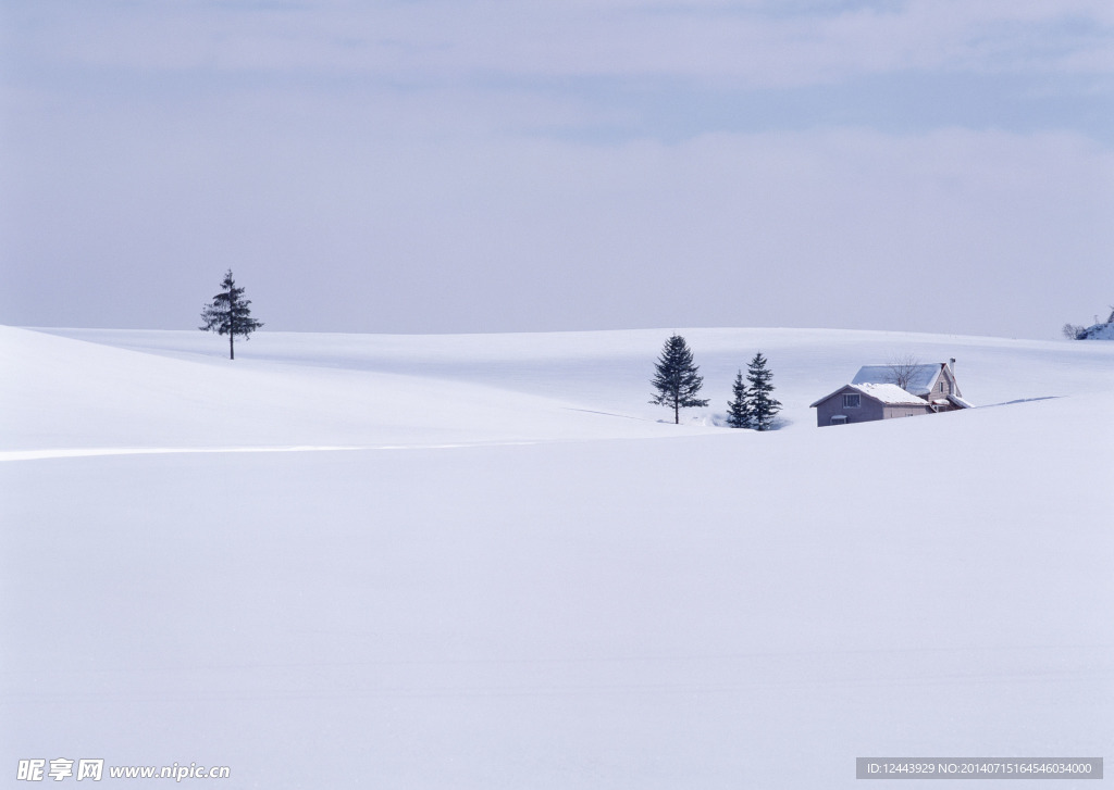 雪景