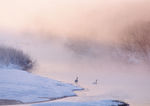 雪景