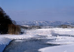 雪景