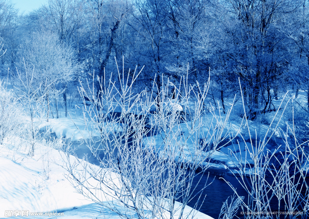 白雪