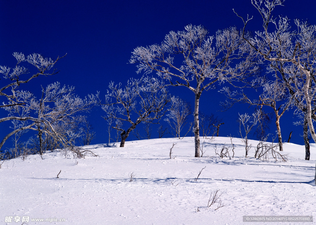 雪景
