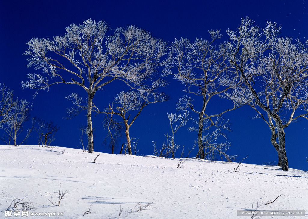 雪景