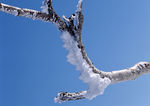 雪景