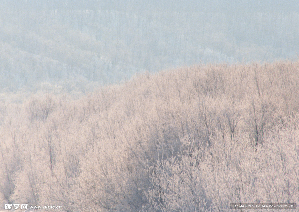 雪景
