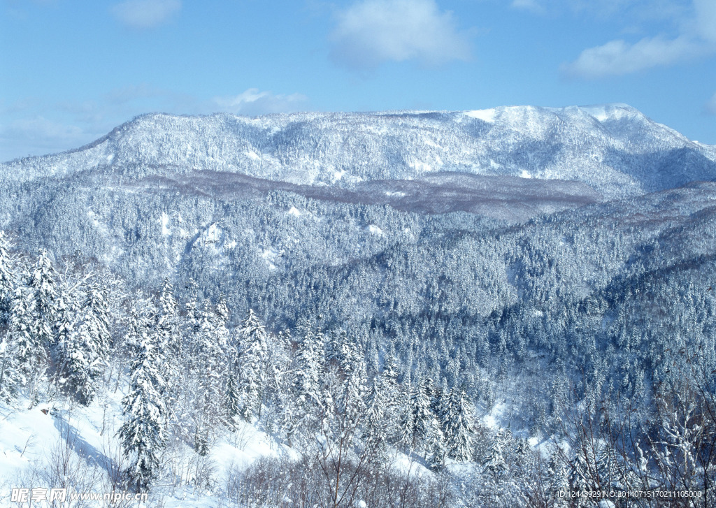 雪景